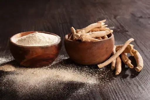 Ashwagandha – India’s Ancient Adaptogen for Modern Wellness